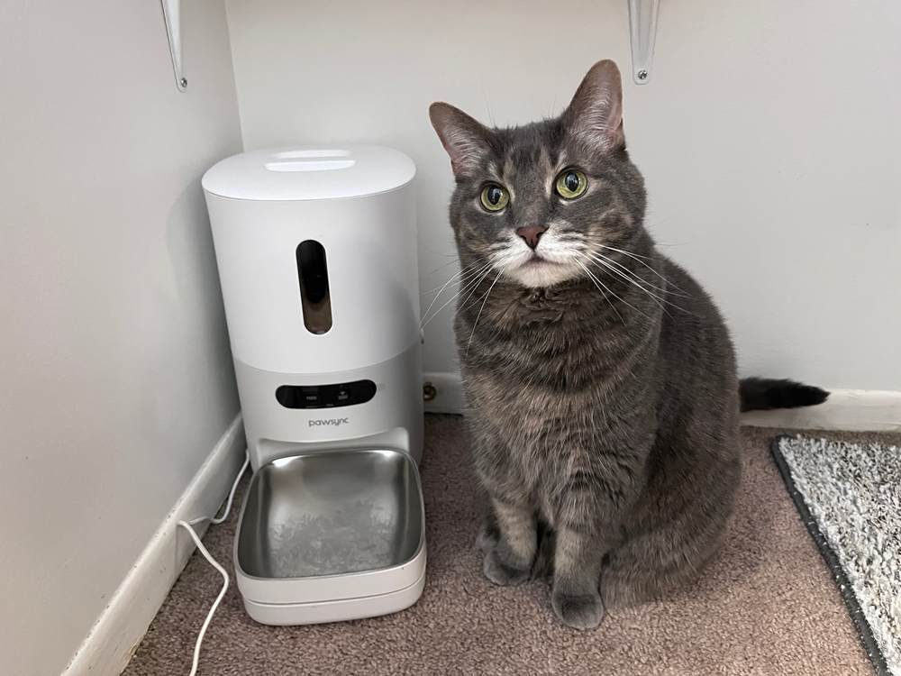 A compact automatic cat feeder on a kitchen floor dispensing kibble into a bowl while a kitten watches nearby