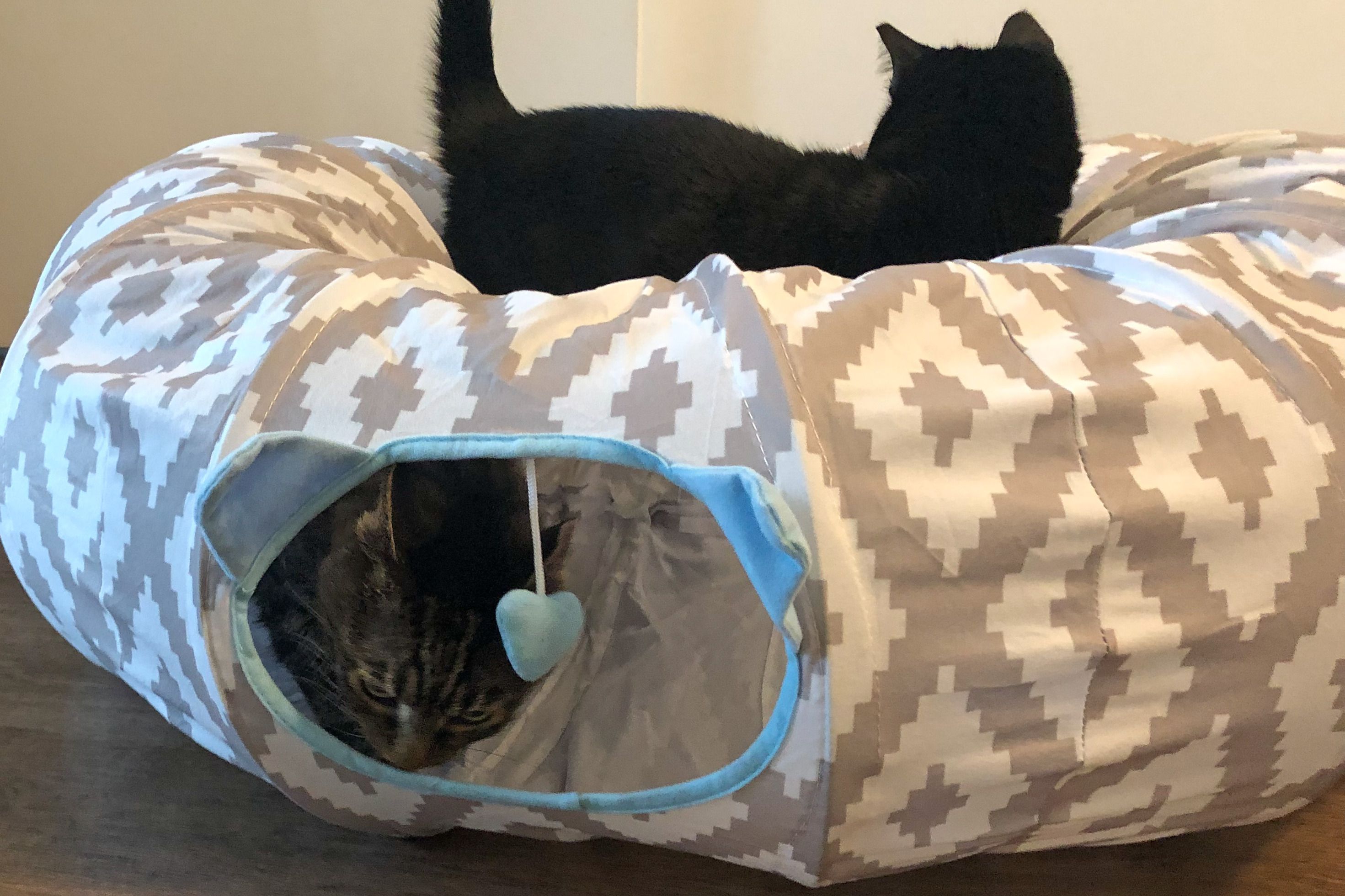 A curious kitten peeking out from the opening of a fabric crinkle play tunnel on a living room floor
