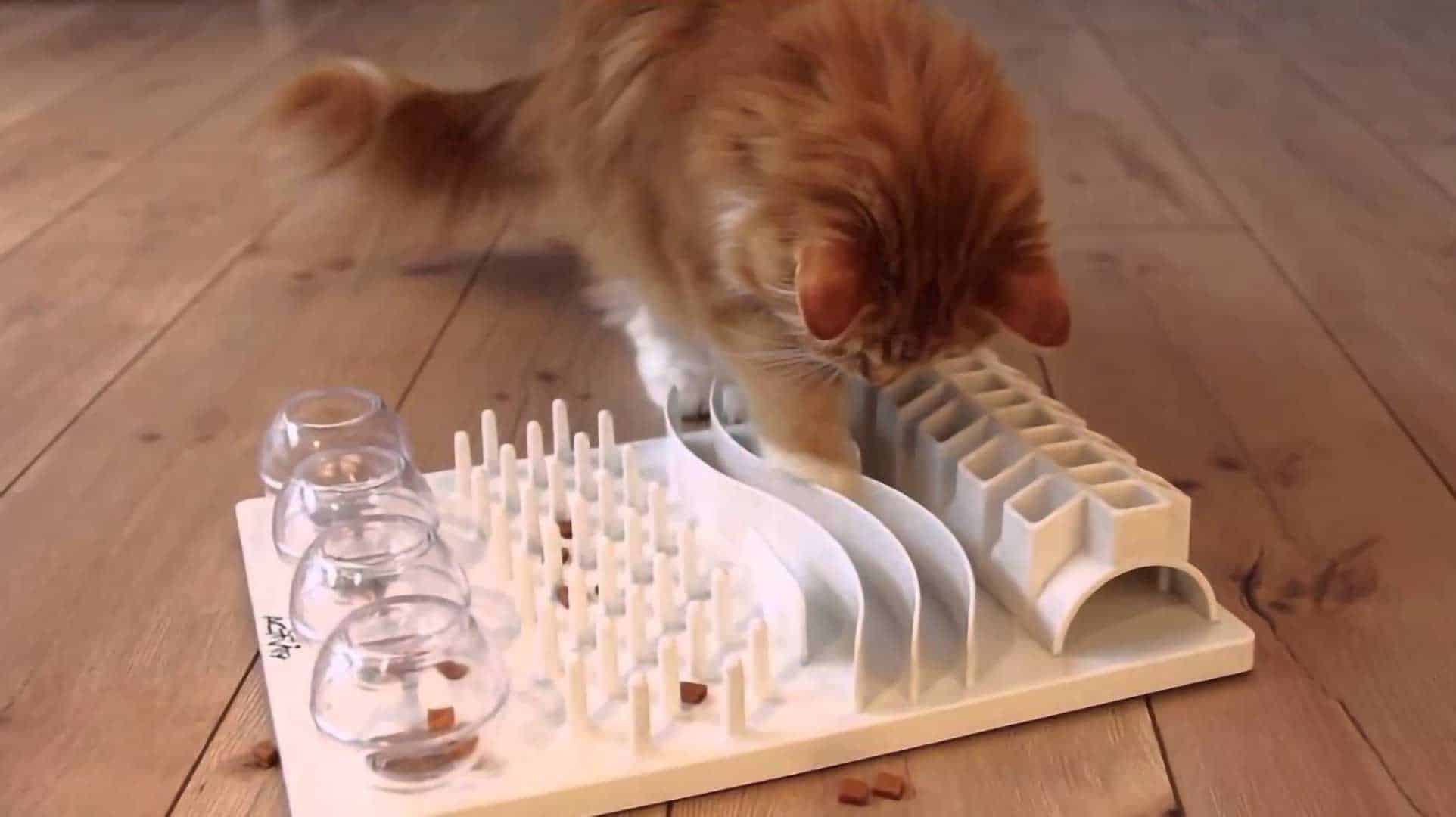 A kitten pawing at a simple puzzle feeder tray with dry kibble pieces in shallow compartments on a kitchen mat