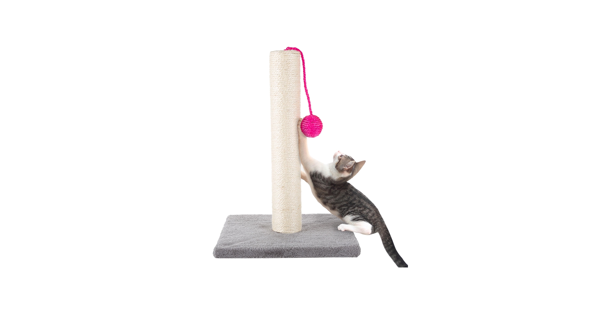 A kitten standing on hind legs and scratching a tall sisal-wrapped scratching post in a living room, showing proper scratching behavior