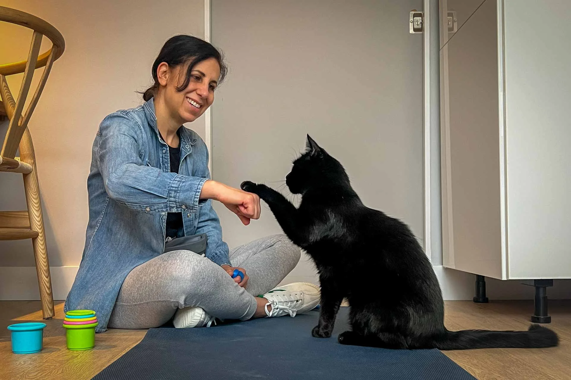 A kitten touching the tip of a target stick while a person holds a clicker and offers a tiny treat