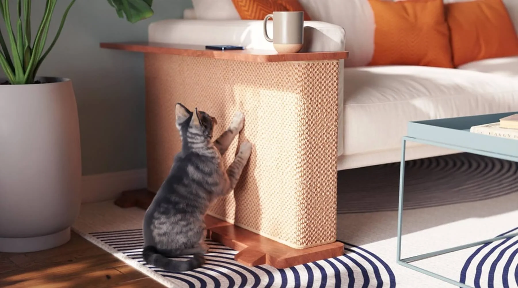 A kitten using a tall scratching post positioned beside a sofa in a bright living room
