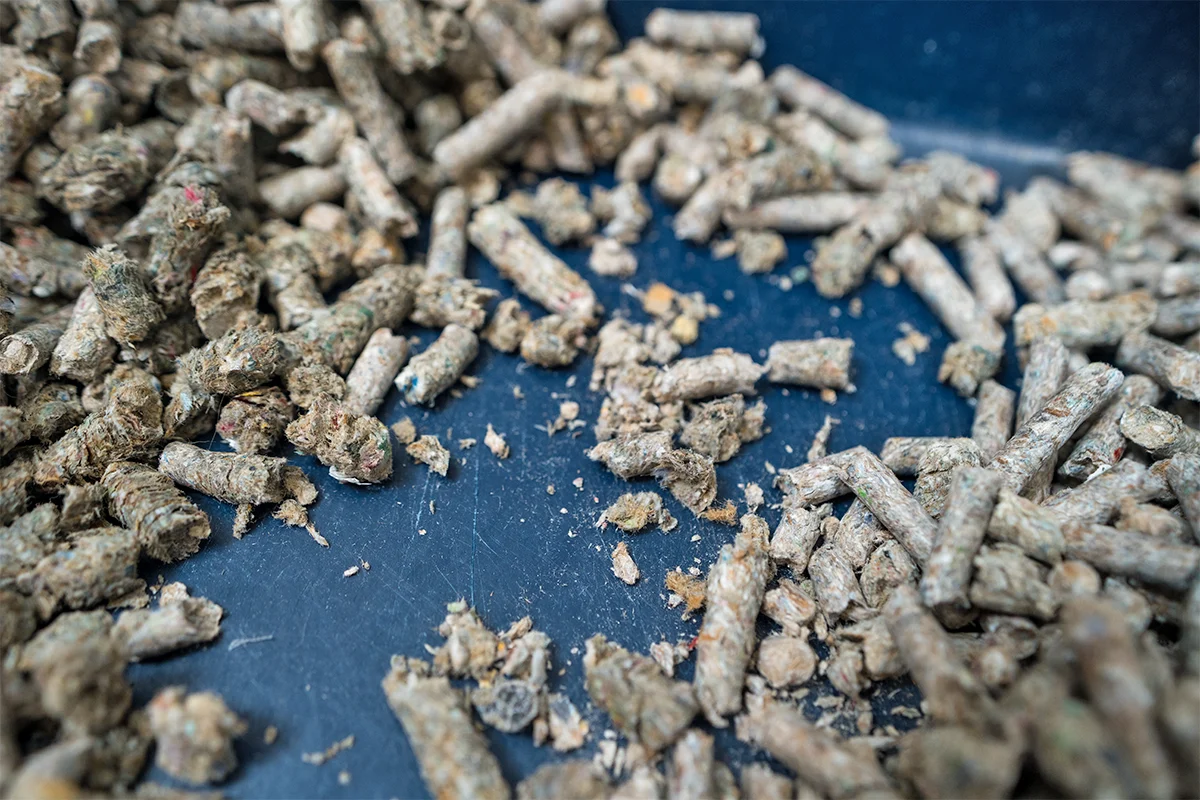 A low-entry litter box filled with paper pellet litter, placed in a quiet corner with a small scoop nearby
