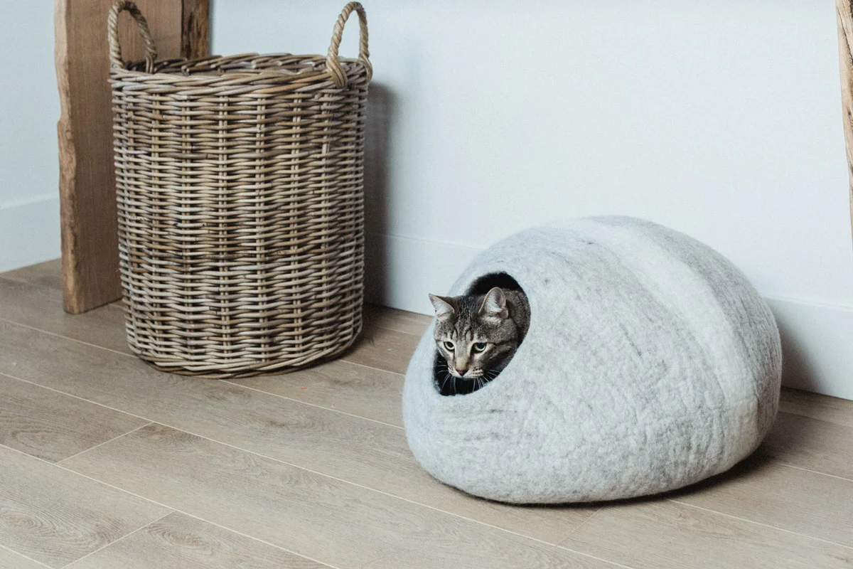 A small kitten peeking out from inside a soft cave-style cat bed placed in a quiet corner